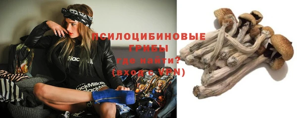 крисы Инсар