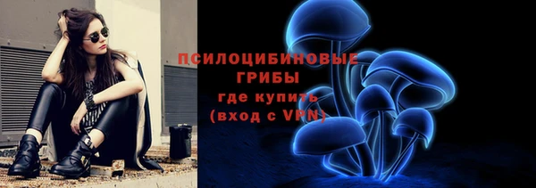 прущая мука Иннополис