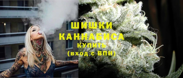 хмурый Каменногорск