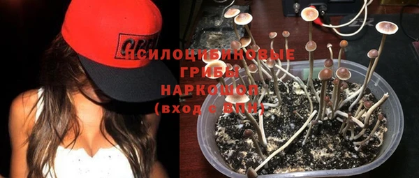 крисы Инсар